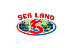 123145352526246 removebg preview